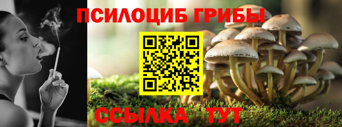 Каннабис  МАРИХУАНА  Метадон  Вход с VPN  Краснознаменск  Мефедрон   ГАШИШ  COCAIN  Героин 